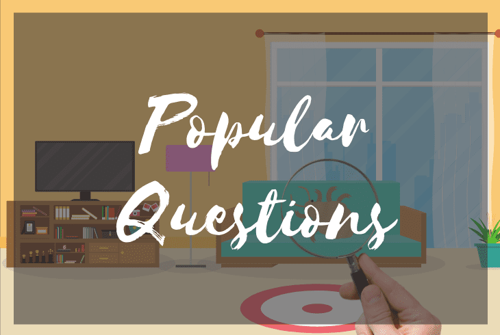 faqs about lice on furniture