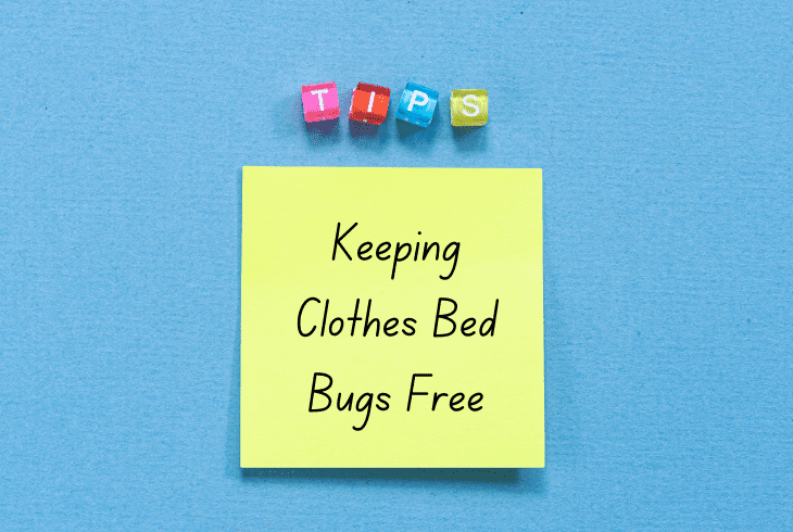 keeping clothes bedbugs free