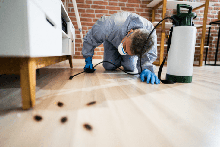 do pest control