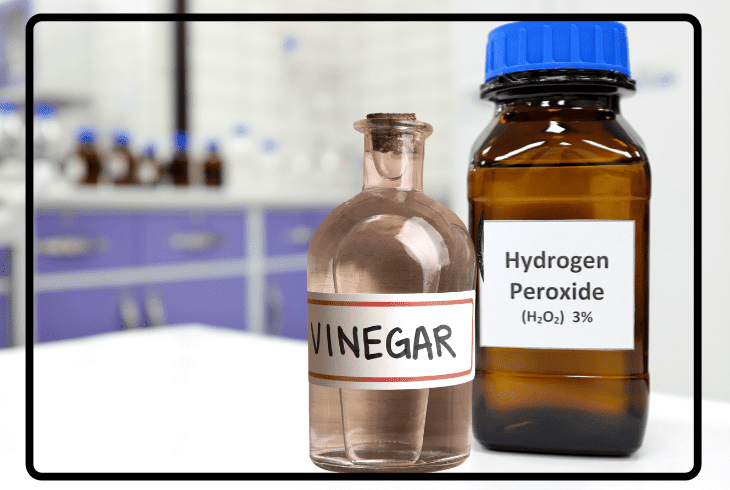 hydrogen peroxide and vinegar