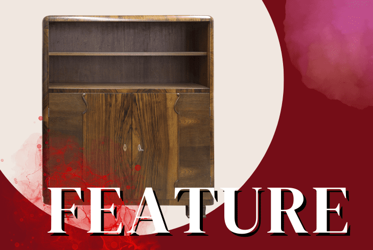distinguishing feature