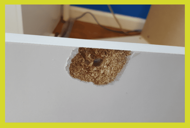 humidifier damages furniture