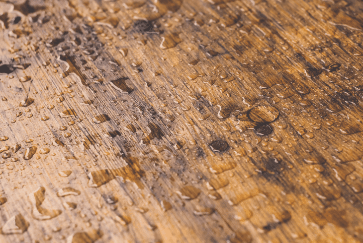 the wood wetness