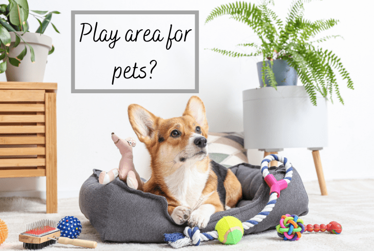 use space for pets