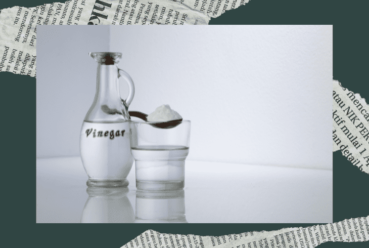 vinegar mixture