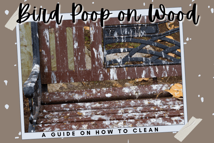how to clean bird poop off wood