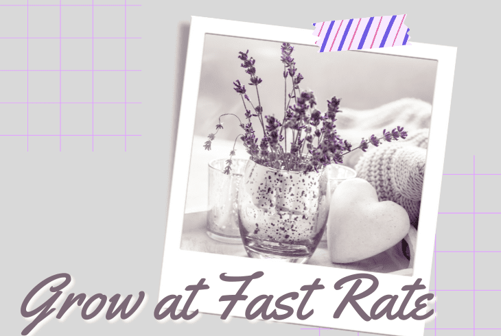 grows at fast rate