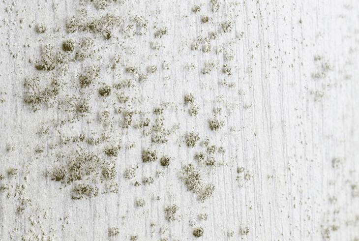 fight against fungus