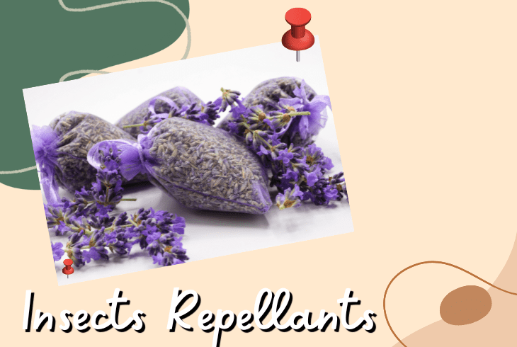 insect repellant
