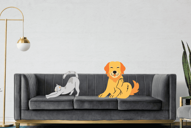 restrict pet from velvet sofa