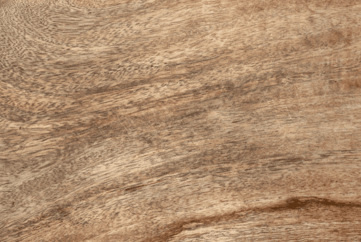 a mango wood