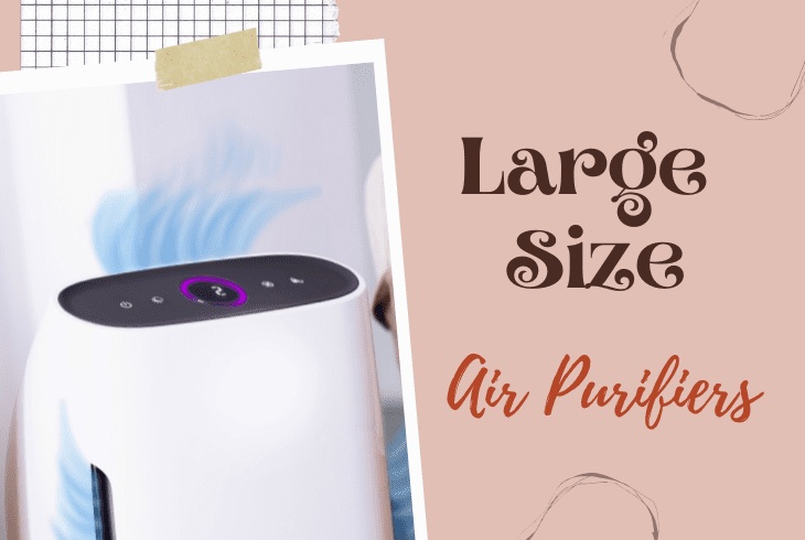 a large air purifiers