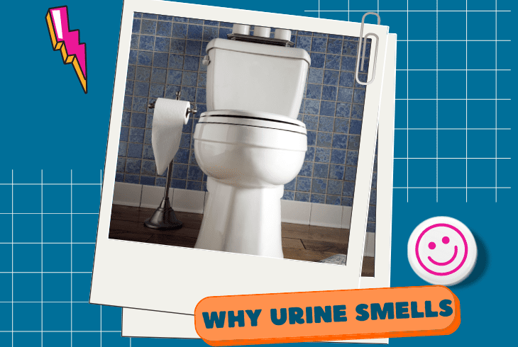 why urine smells