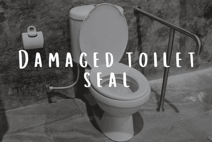 damaged toilet seal