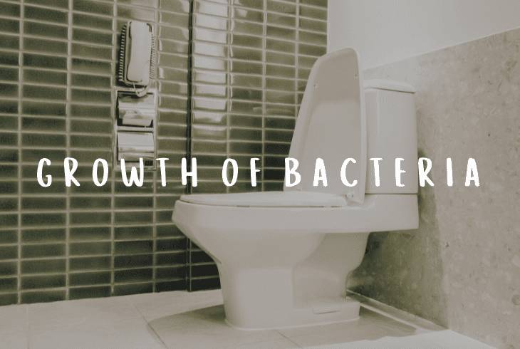growth of bacteria