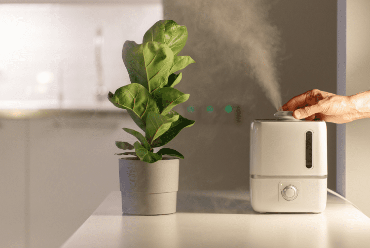 use humidifiers