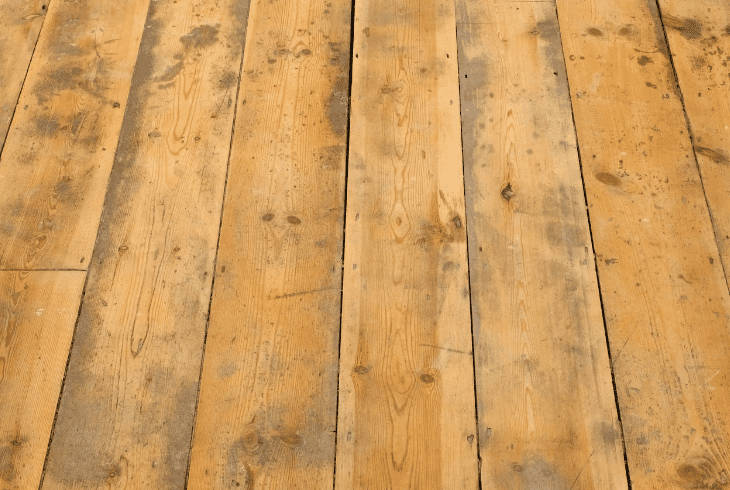 why floors be squeaky