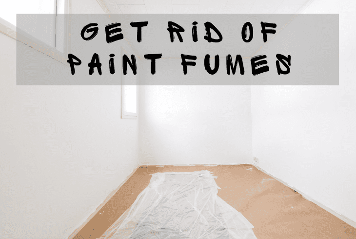 get rid of paint fumes