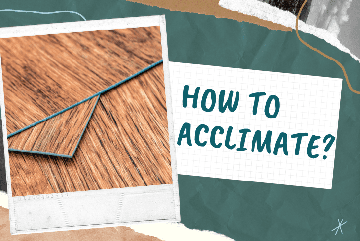 how to acclimate