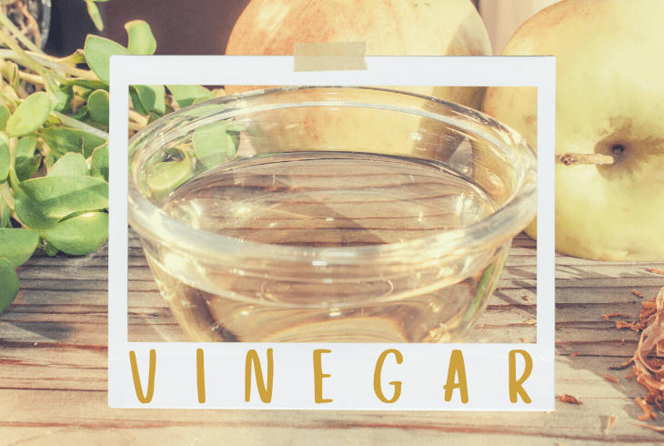the vinegar