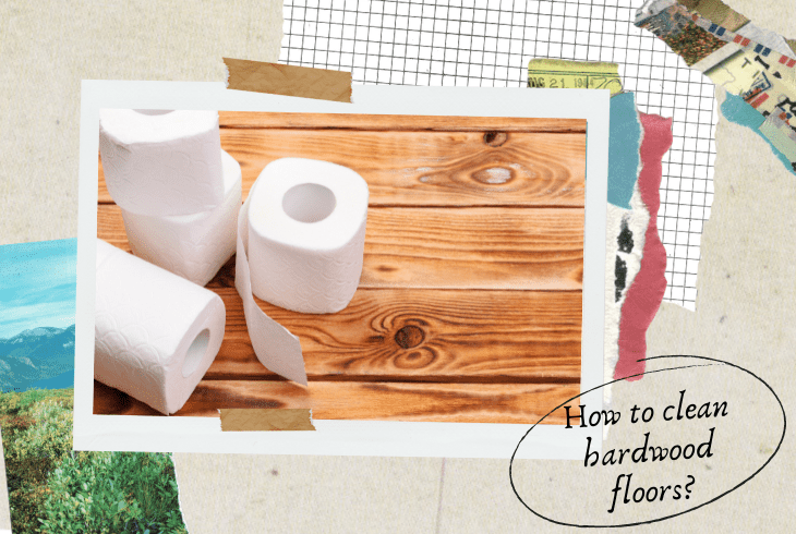 clean the dog pee on hardwood floor