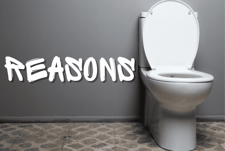 reasons why toilet bubbling