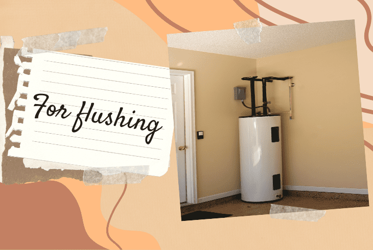 for a flushing