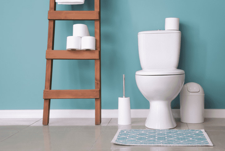 the toilet splash guard