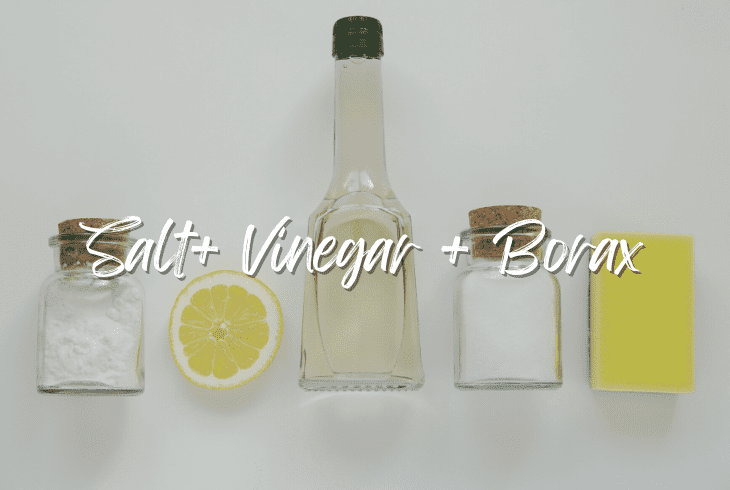 salt vinegar and borax