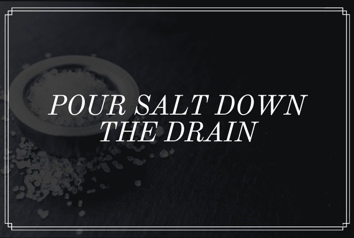 pour salt down drain