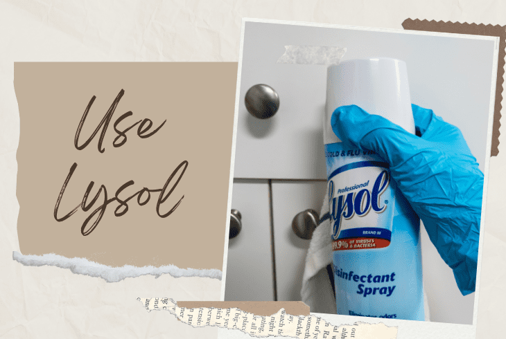 use lysol