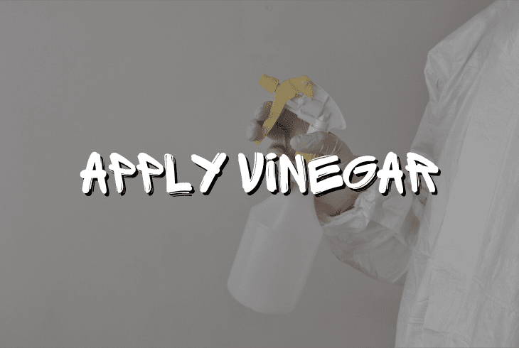 apply vinegar
