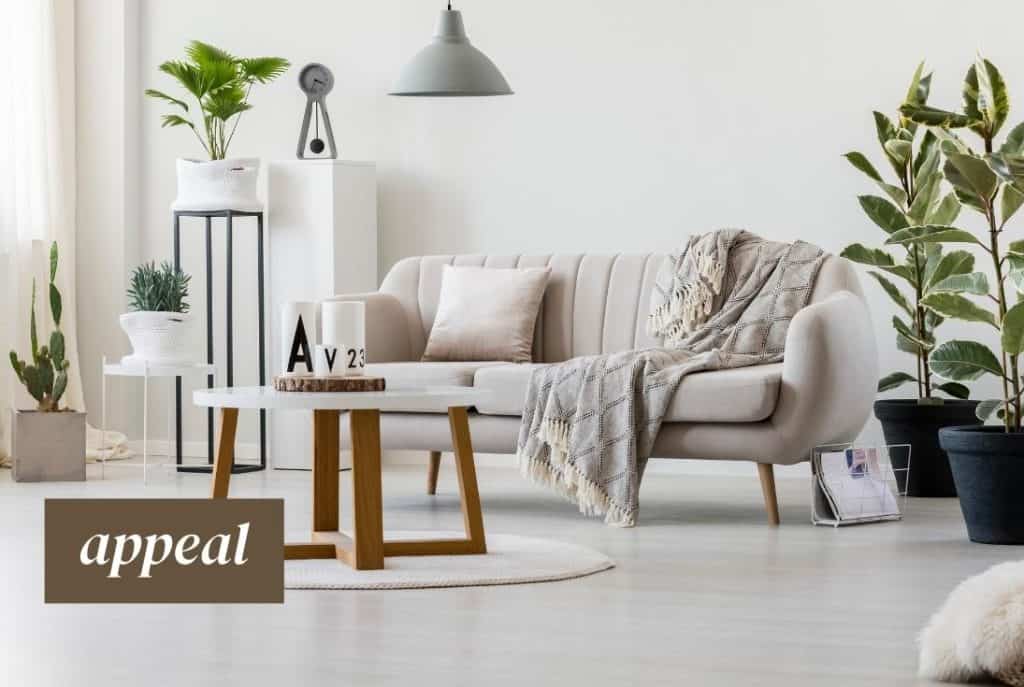appeal of couch
