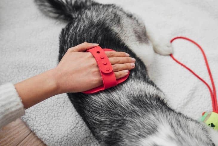 brush off pet hair