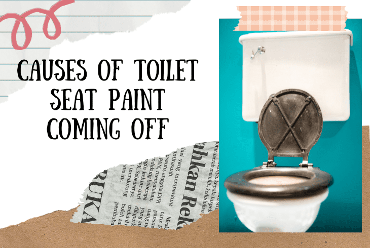 causes of toilet seat paint tears
