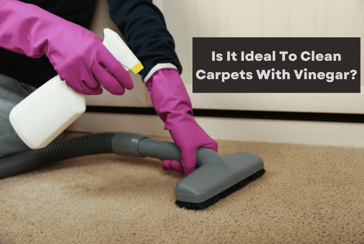 ideal to clean carpet
