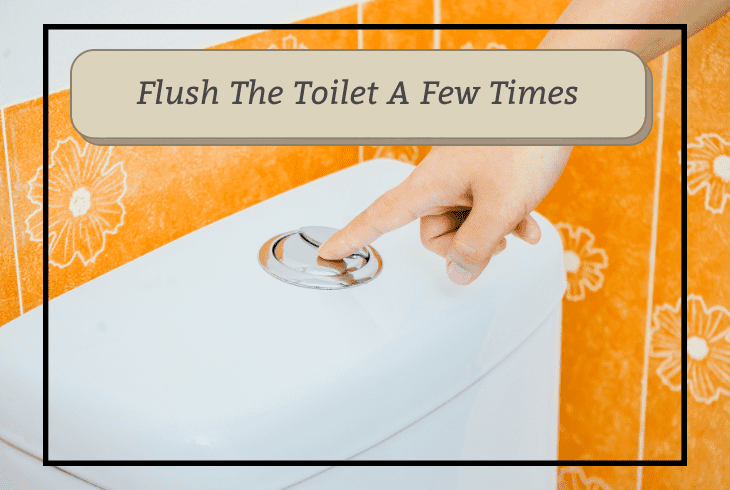flush toilet