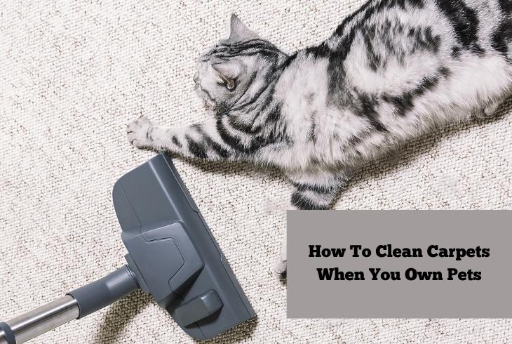 clean carpets