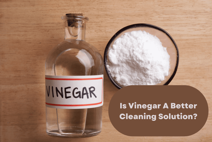 vinegar cleaning solution