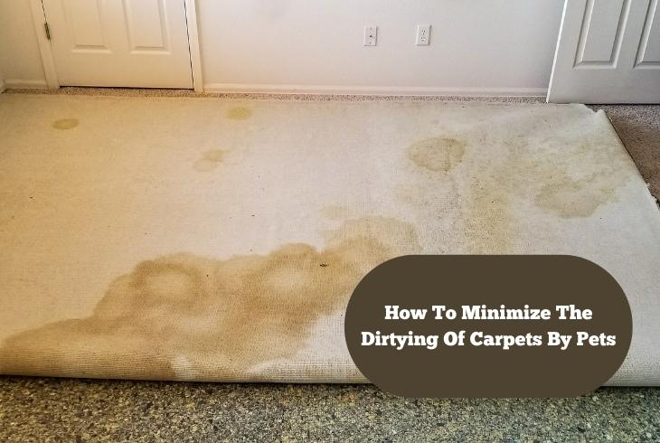 minimize dirty carpet