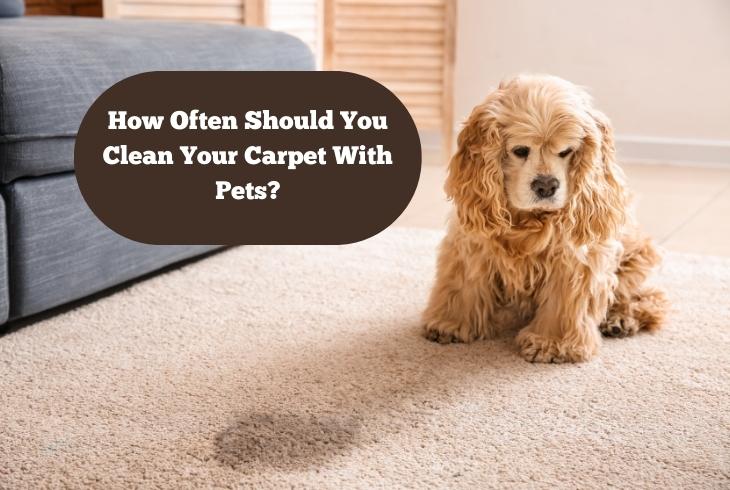how often clean carpet