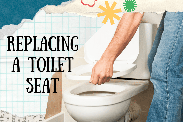 replacing a toilet seat