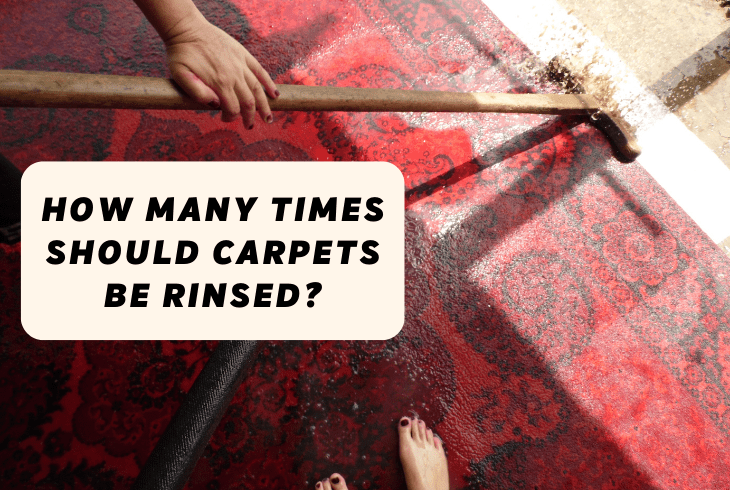 rinsing carpet often