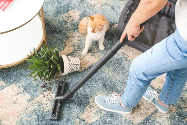 vacuum