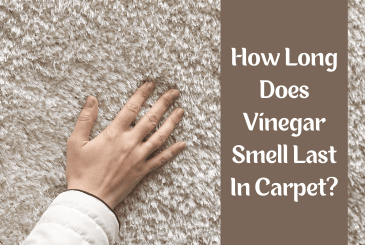 vinegar smell last