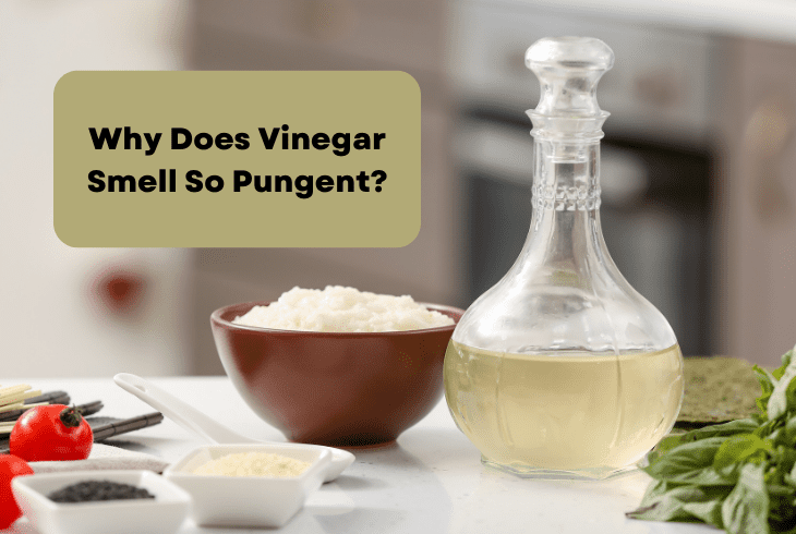 vinegar smell pungent