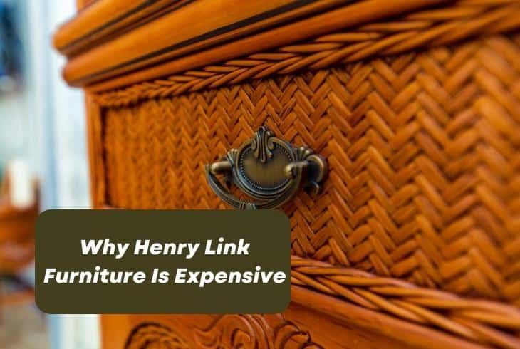henry link expensive