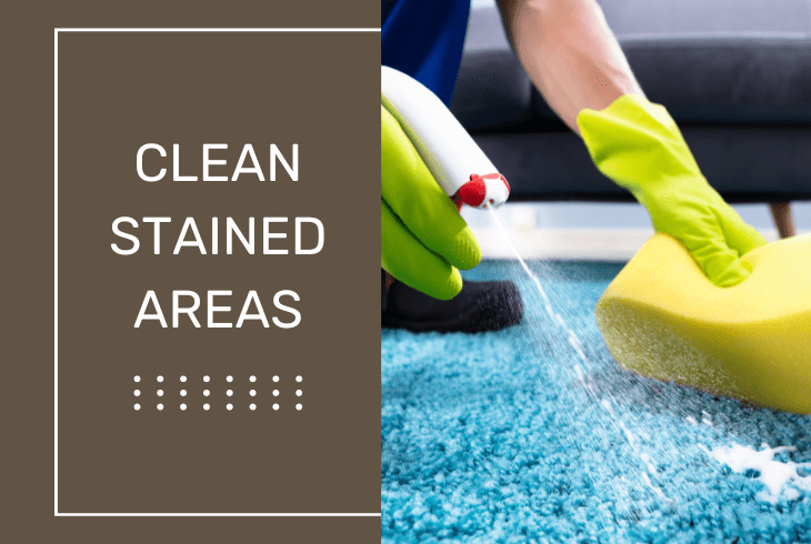 clean the stained areas
