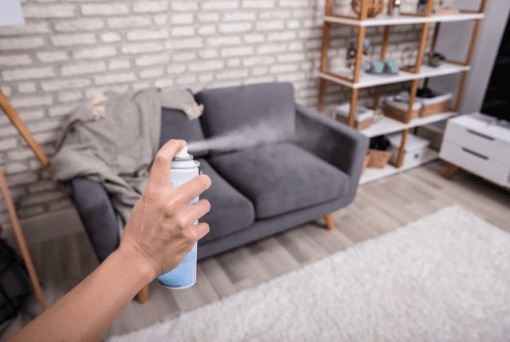 deodorize rug