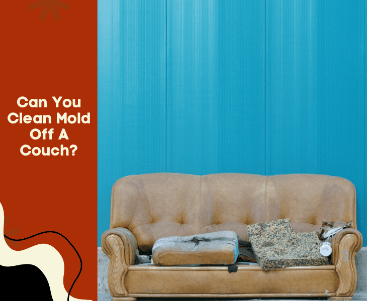 cleam molds off couch